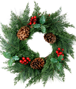 2691 WREATH RUBY FOREST